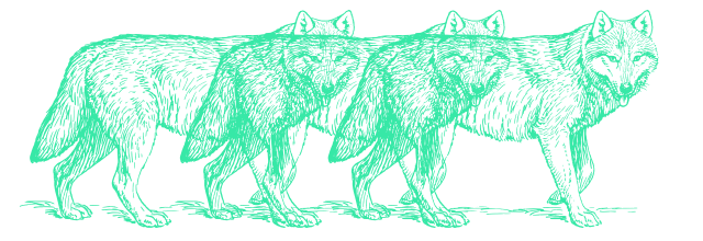 Wolf (1)